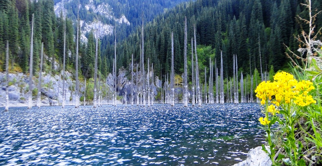 Lake Kaindy. National park Kolsai. Almaty of province.